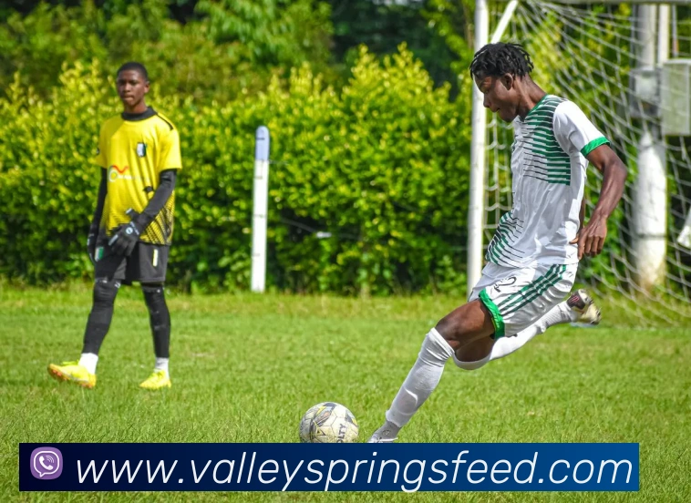 mksports直播平台生态图